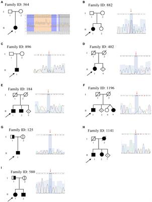 Cohort Analysis of 67 Charcot-Marie-Tooth Italian Patients: Identification of New Mutations and Broadening of Phenotype Expression Produced by Rare Variants